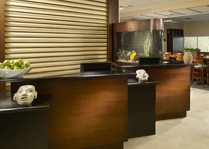 Fairfield By Marriott Cabos 3*