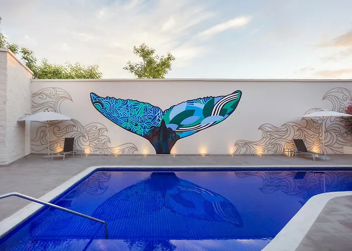 Fairfield By Marriott Cabos Hotel Cabo San Lucas